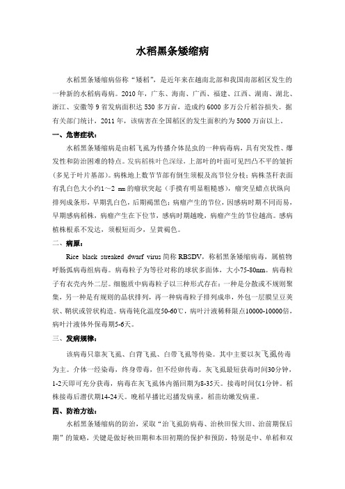 水稻黑条矮缩病