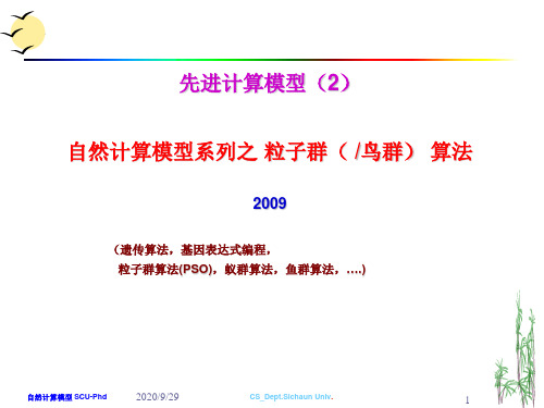 基因表达式编程教学2PPT课件