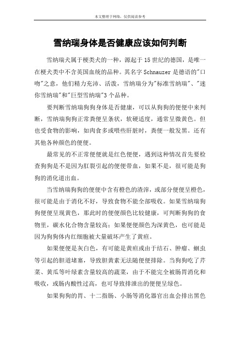 雪纳瑞身体是否健康应该如何判断