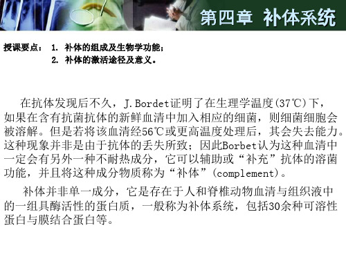 第四章 补体系统