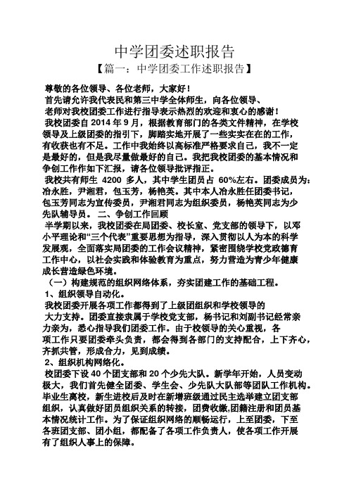 中学团委述职报告