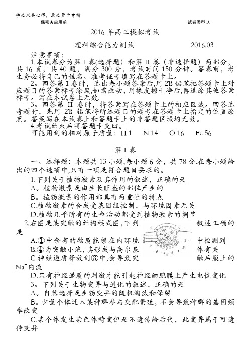 山东省日照市2016届高三下学期第一次模拟考试理综试题 含答案