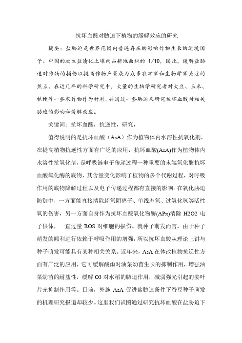 文献综述