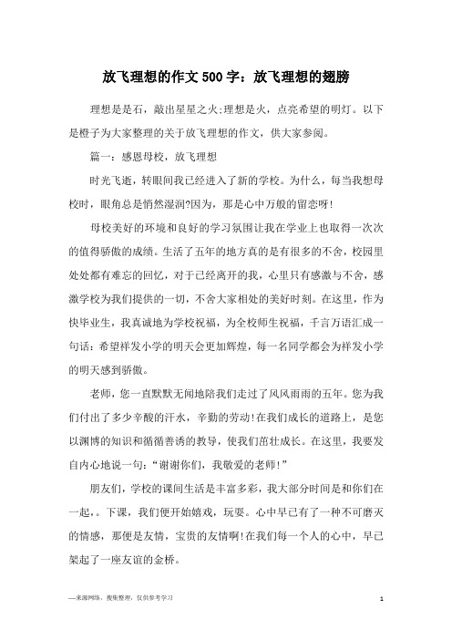 放飞理想的作文500字：放飞理想的翅膀
