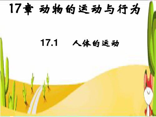 人体的支持与运动