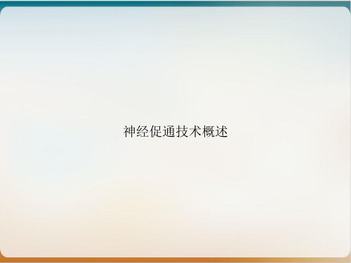 神经促通技术概述PPT精选课件