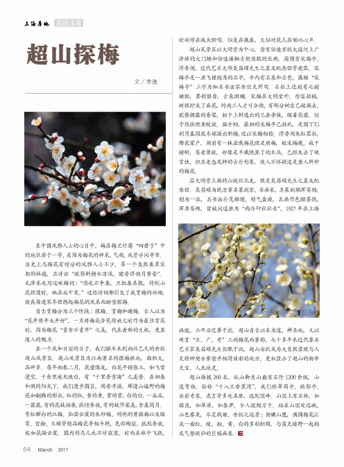 超山探梅