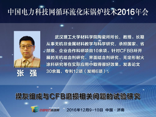 14-张强-CFB锅炉磨损分析与防磨