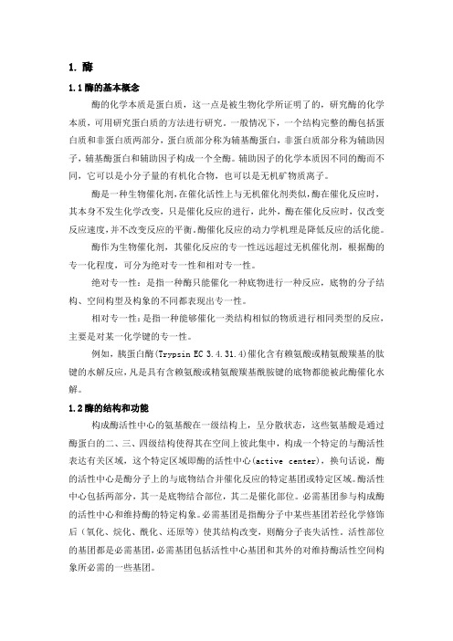 酶与酶工程