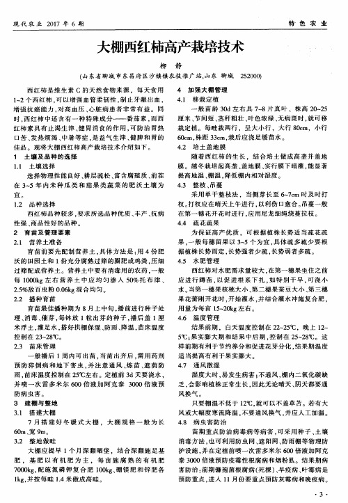 大棚西红柿高产栽培技术