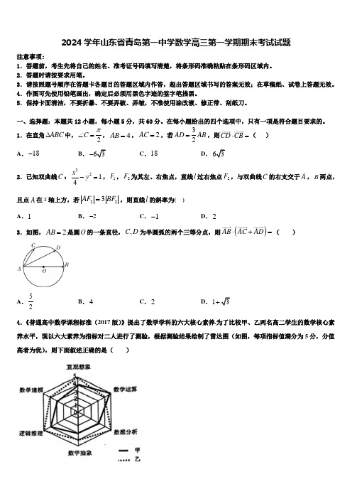 2024学年山东省青岛第一中学数学高三第一学期期末考试试题含解析