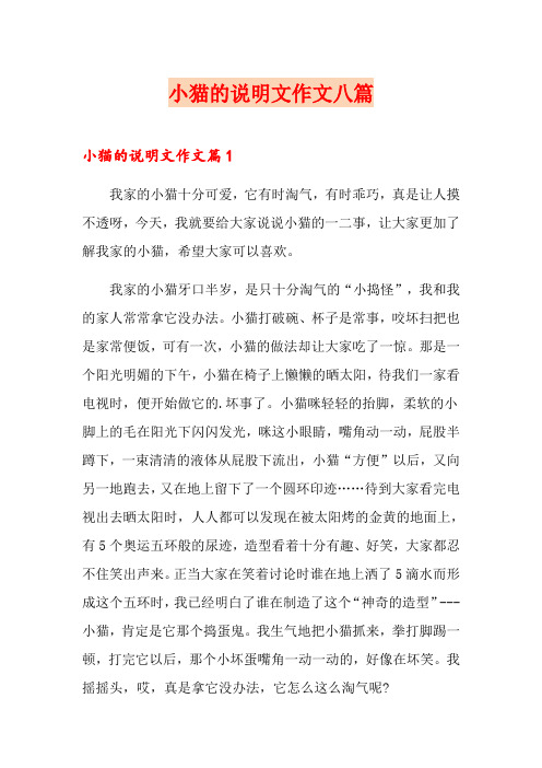 小猫的说明文作文八篇