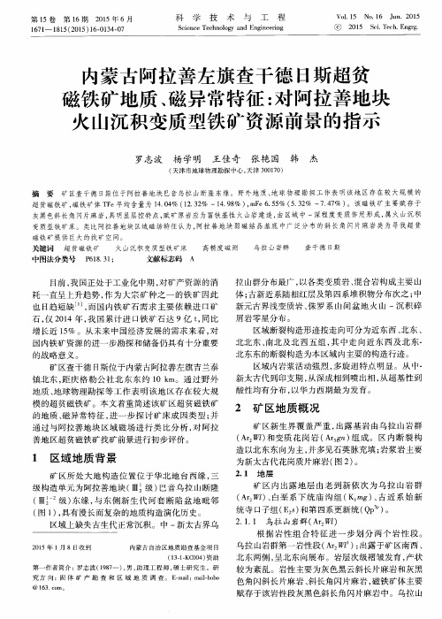 内蒙古阿拉善左旗查干德日斯超贫磁铁矿地质、磁异常特征：对阿拉