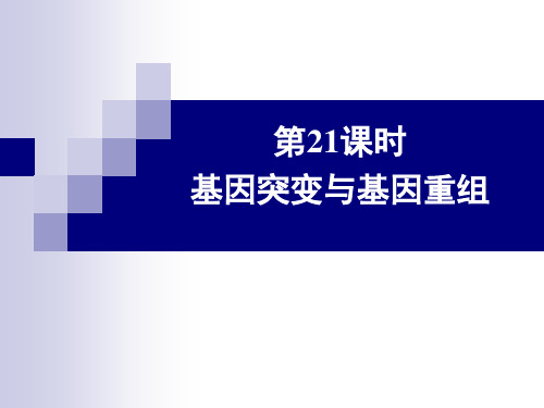 21基因突变与基因重组
