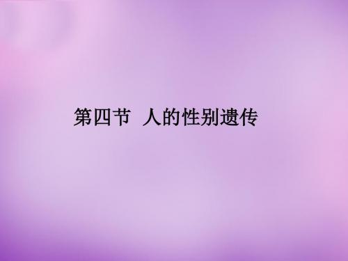 人的性别遗传课件(共23张PPT)