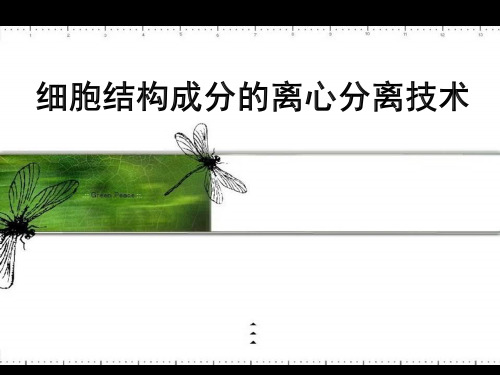 离心技术