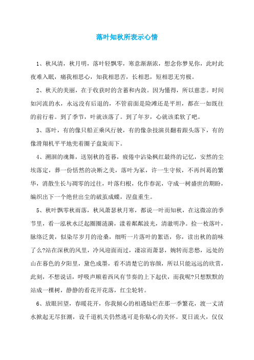 落叶知秋所表示心情