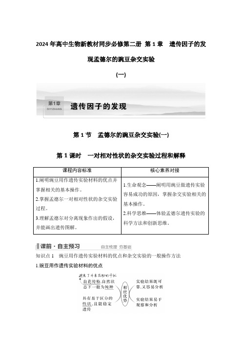 2024年高中生物新教材同步必修第二册 第1章 遗传因子的发现孟德尔的豌豆杂交实验(一)