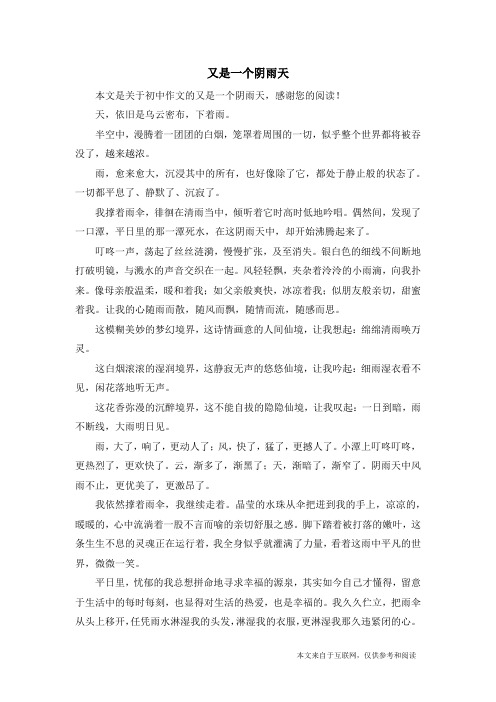 又是一个阴雨天_初中作文