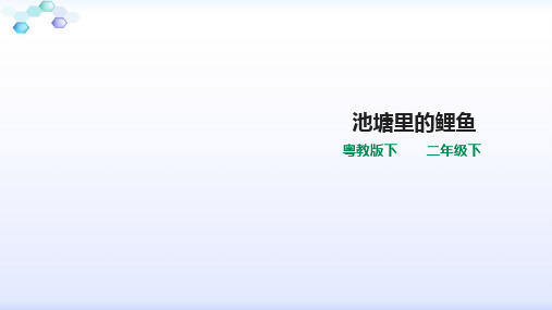 苏教版二年级下册科学1.3池塘里的鲤鱼(课件)
