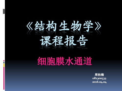 细胞膜水通道