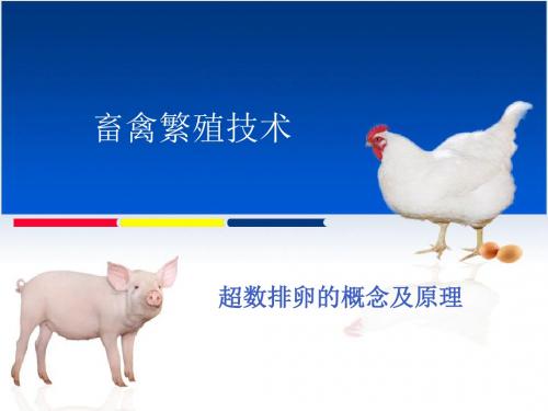 超数排卵的概念及原理