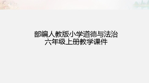 部编版六年级道德与法治上册第八课《我们受特殊保护》第二课时课件