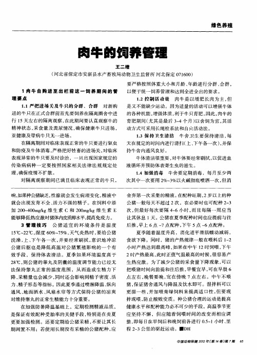 肉牛的饲养管理