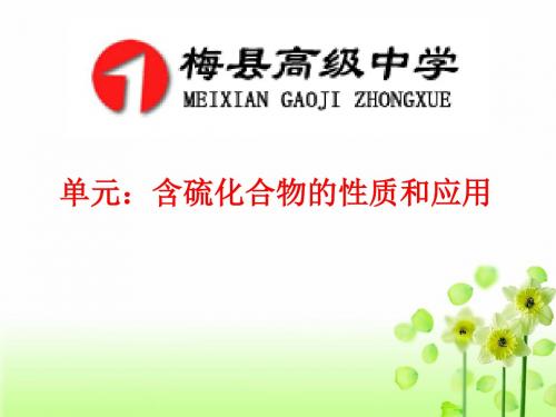化学课件《含硫化合物的性质和应用》优秀ppt 苏教版