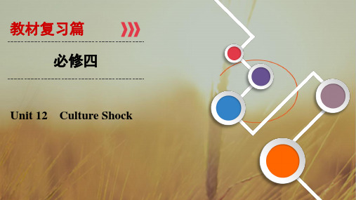 2019大一轮高考总复习英语北师大版课件：Unit 12 Culture Shock必修四 精品