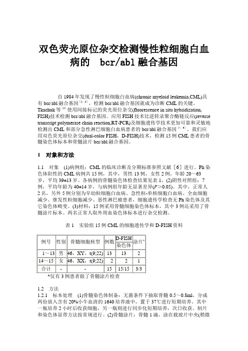 双色荧光原位杂交检测慢性粒细胞白血病的bcrabl融合基因