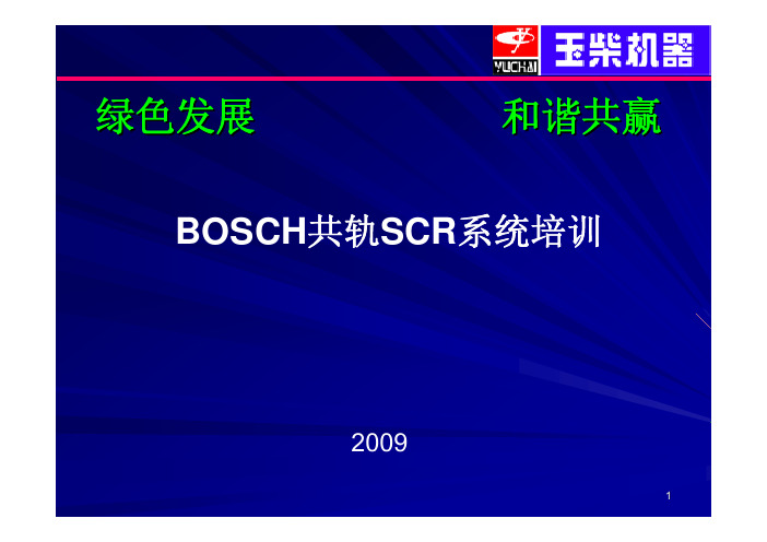 博世2.0 玉柴共轨SCR系统