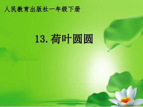 人教部编版一年级下册语文课件-《荷叶圆圆》(共27张PPT).ppt