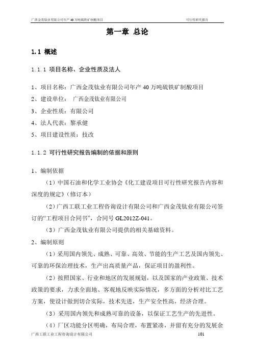 40万吨硫铁矿制酸项目可研报告 - 副本解读
