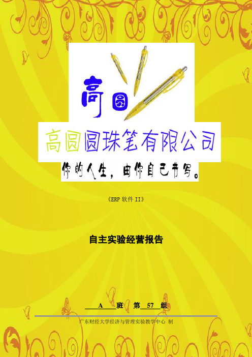 ERP2 圆珠笔 经营报告