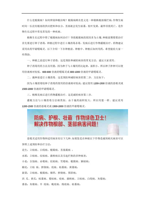 恶霉灵(恶霉灵)能治理根腐病吗？