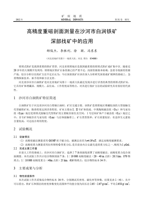 高精度重磁剖面测量在沙河市白涧铁矿深部找矿中的应用