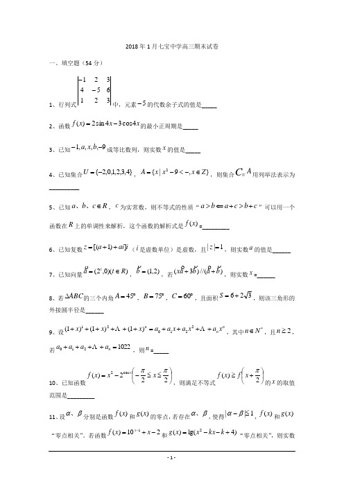 上海市七宝中学2018届高三上学期期末数学试题Word版