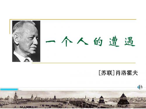 苏教版  一个人的遭遇PPT课件31