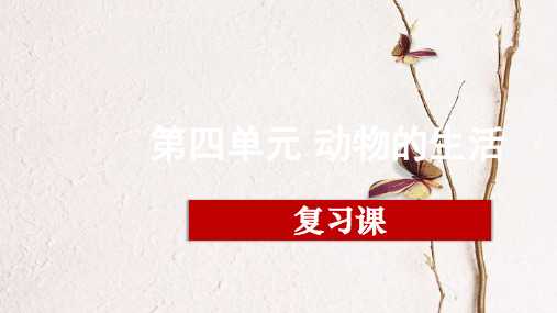 江西省万载县八年级生物上册 第四单元 动物的生活复习课件 (新版)冀教版.pptx