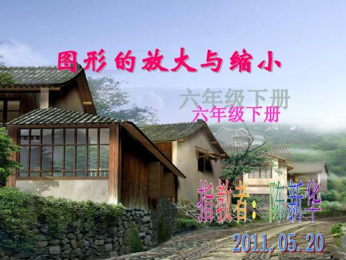 图形放大与缩小