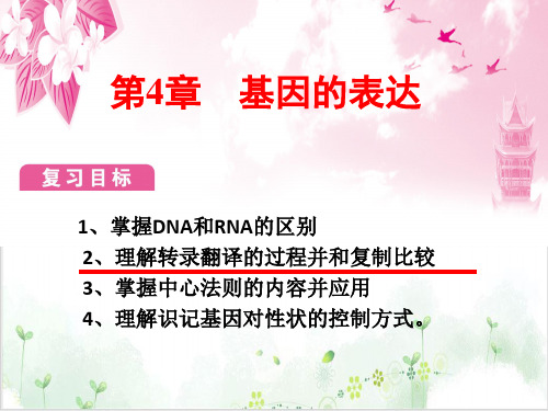 总复习之2-基因的表达专题(92张)-PPT优秀课件