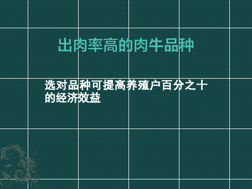 出肉率高的肉牛品种
