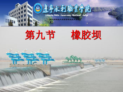 水工建筑物  橡胶坝