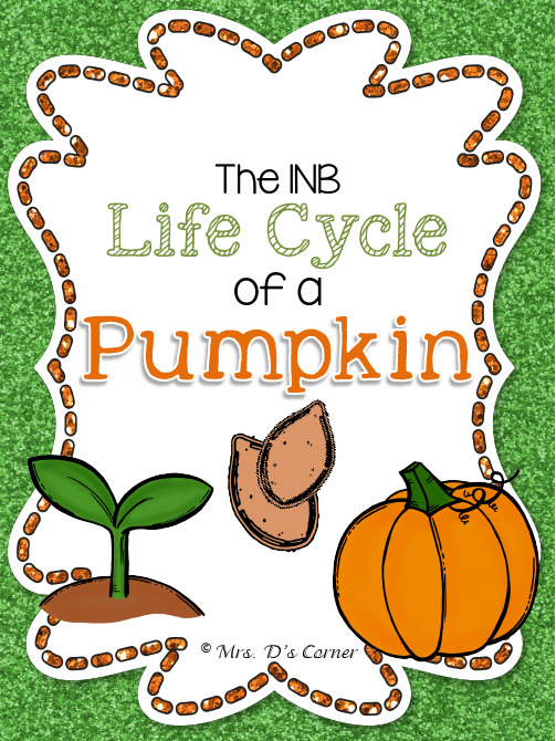 TheLifeCycleofaPumpkin  淘宝搜店 凯旋儿童素材