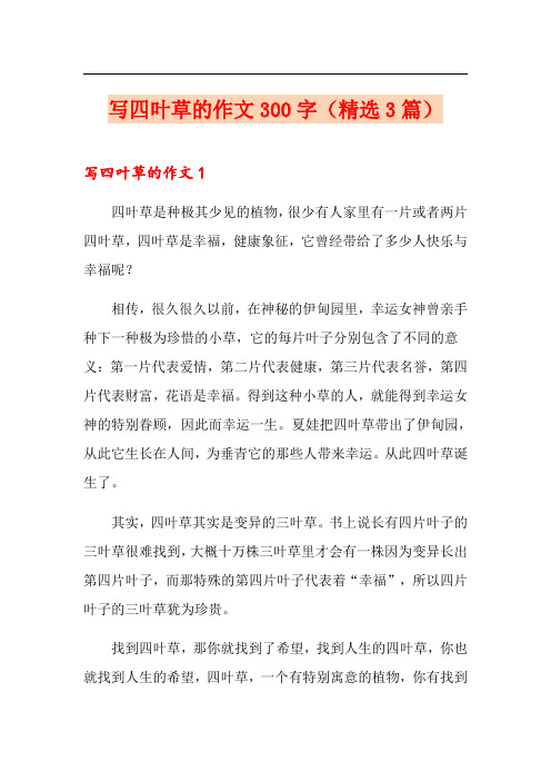 写四叶草的作文300字(精选3篇)