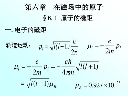 原子物理第六章