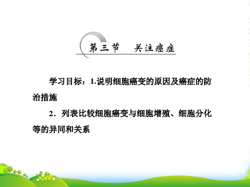 高中生物苏教版必修一课件：第五章 第三节 关注癌症