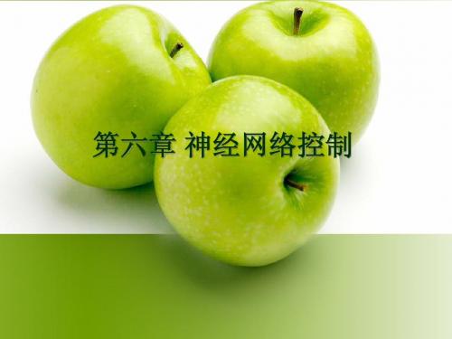 第六章：神经网络控制