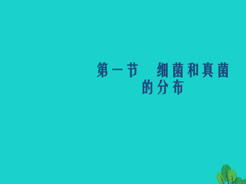 八年级生物上册 5_4_1 细菌和真菌的分布教学课件 (新版)新人教版